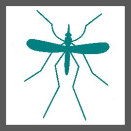 Mosquitoes